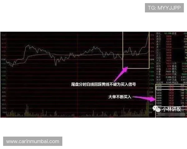 凯发体育滚球盘：掌握盘口变化规律提升投注精准度的实战经验分享