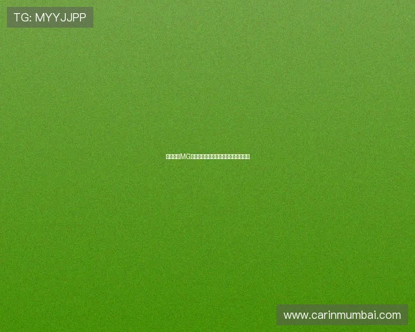 全面解析MG电游中的热门角色和装备搭配优化策略 全面解析MG电游中的热门角色和装备搭配优化策略