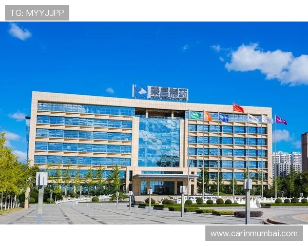 凯发k8官方网娱乐客户服务体系详解，提供全天候专业支持保障玩家无忧体验